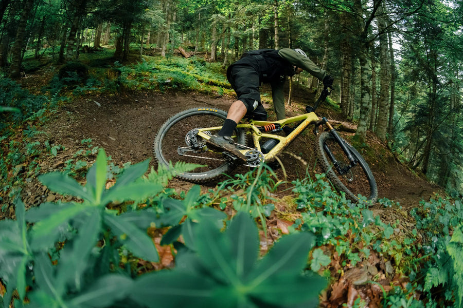 Scopri la nuova Orbea Occam Adventure2 nelle versioni SL ed LT con gli esperti di DottorBike rivenditore ufficiale Orbea a Pisa