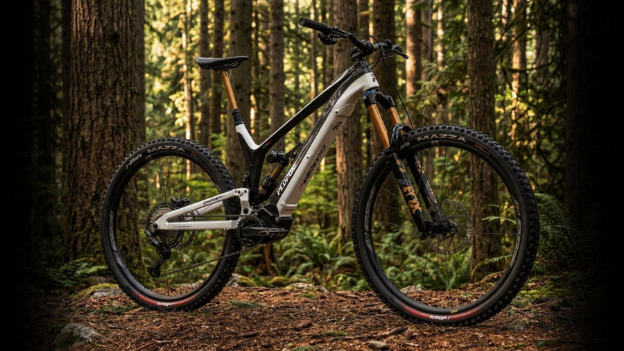 Rent4Ride Dottor Bike | Noleggio lungo termine e-bike a Fucecchio