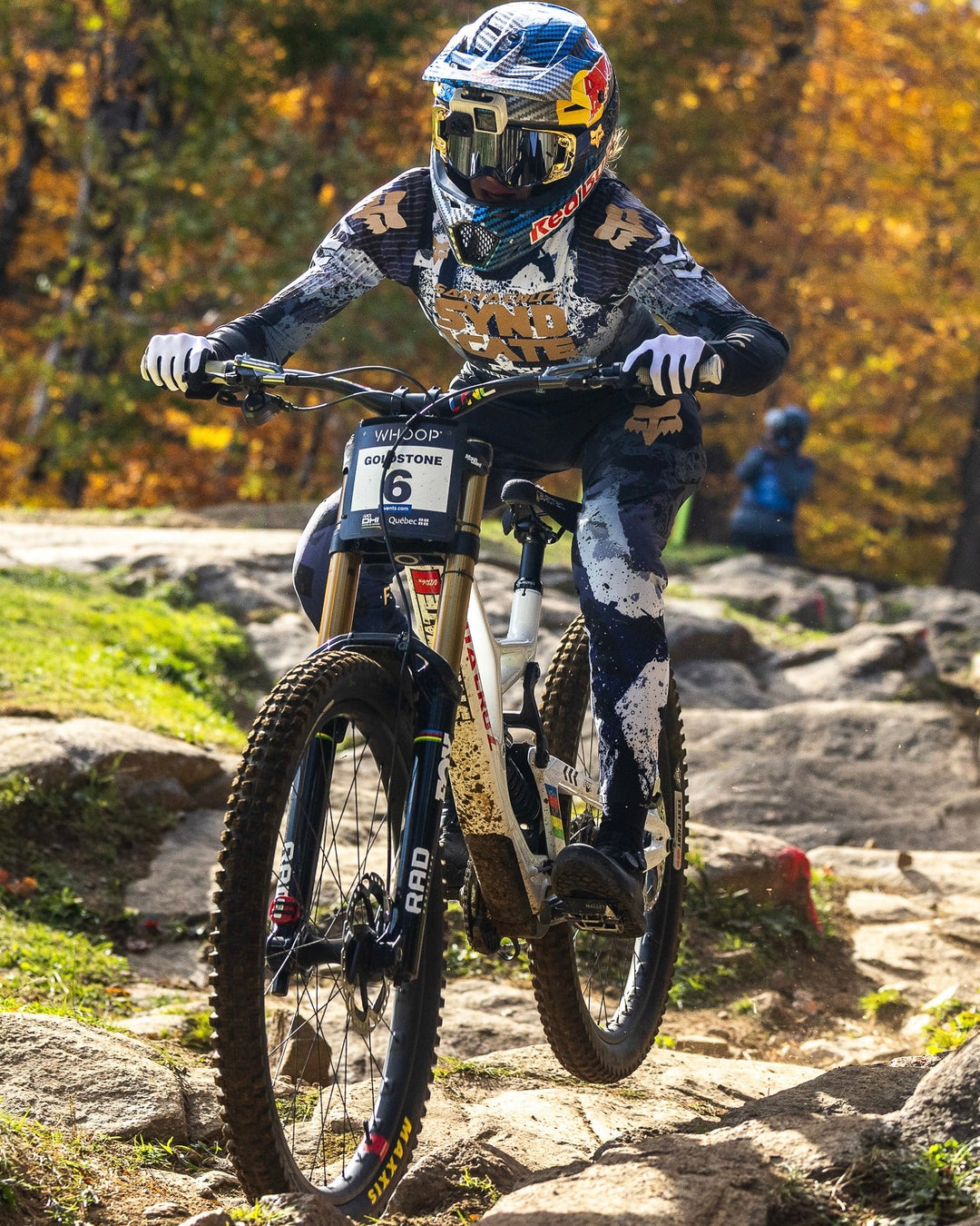 Goldstone - Limited Edition