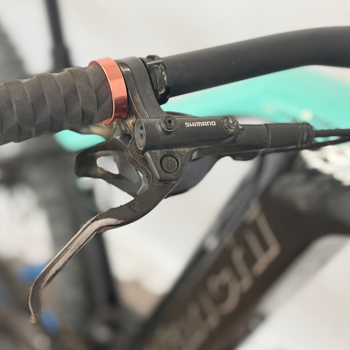 Bianchi T-Tronik Sport 2021