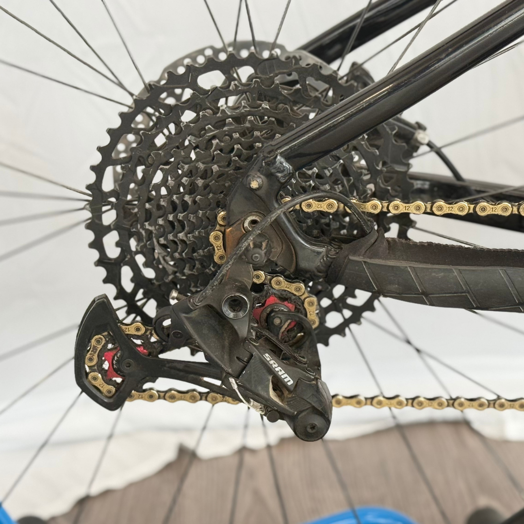 Bianchi T-Tronik Sport 2021
