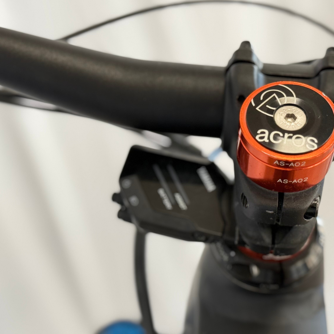 Haibike AllMtn 10 2024
