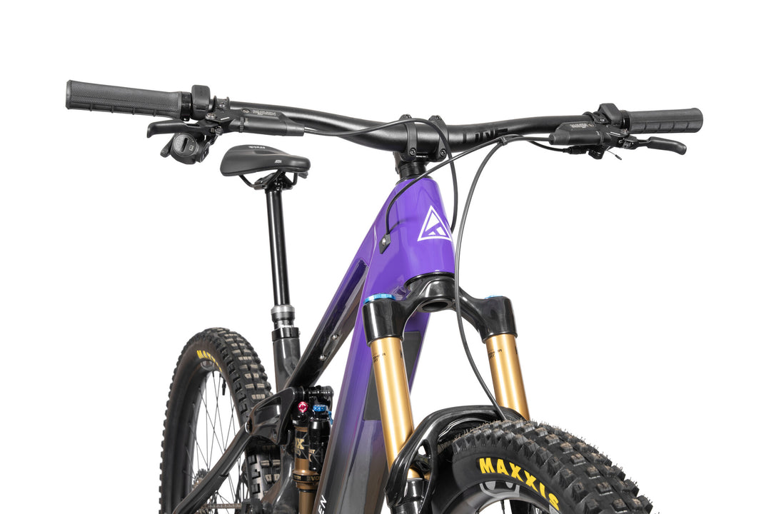 Forbidden Druid E Tier 2 2026 viola dettaglio 4