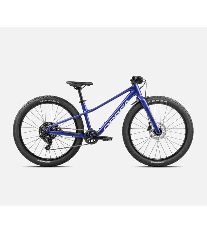 Cobalt Blue/ Carbon Raw