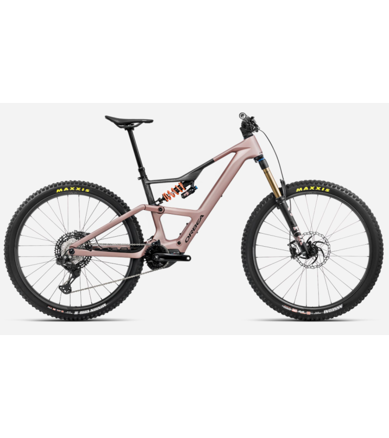 Desert Rose
