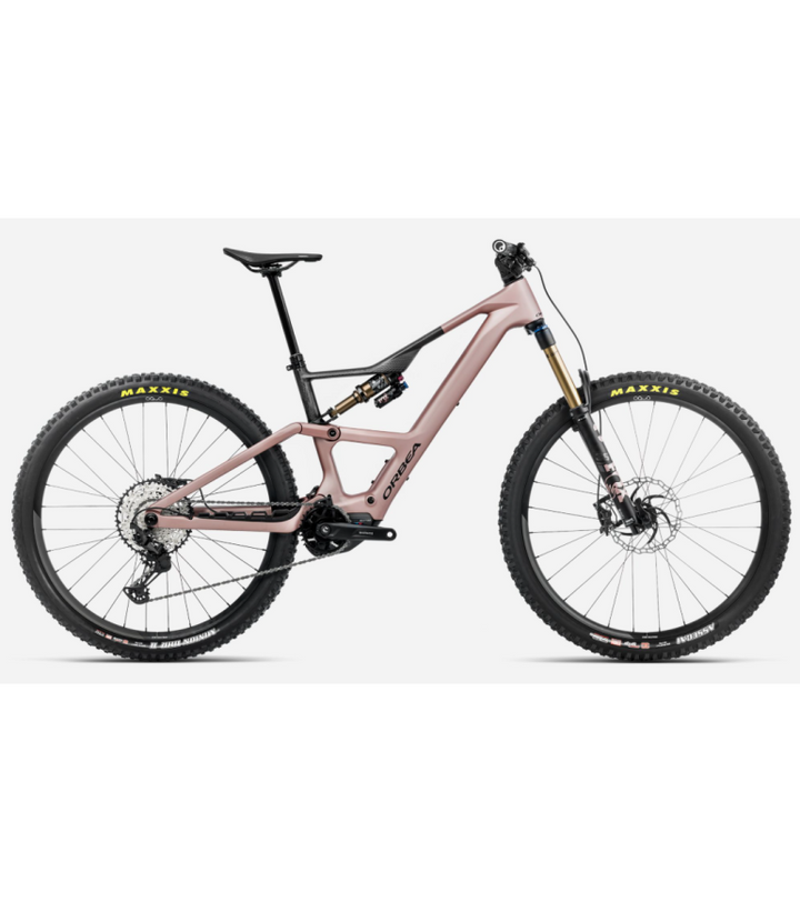Desert Rose