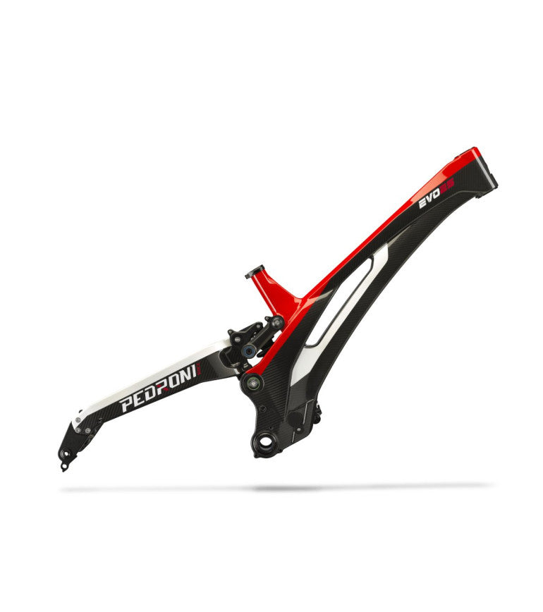 Pedroni Race Evo25 2026 Telaio