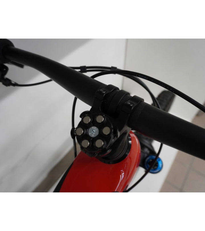 Rotwild RX Fs Ultra (Demo)
