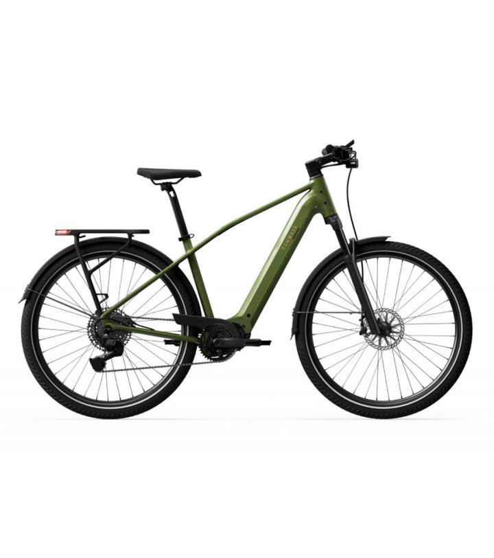 Verde oliva